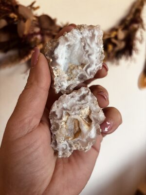 Mexicaanse geode bollen kraken | Live sale