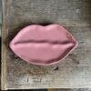 Lip plate lip punch