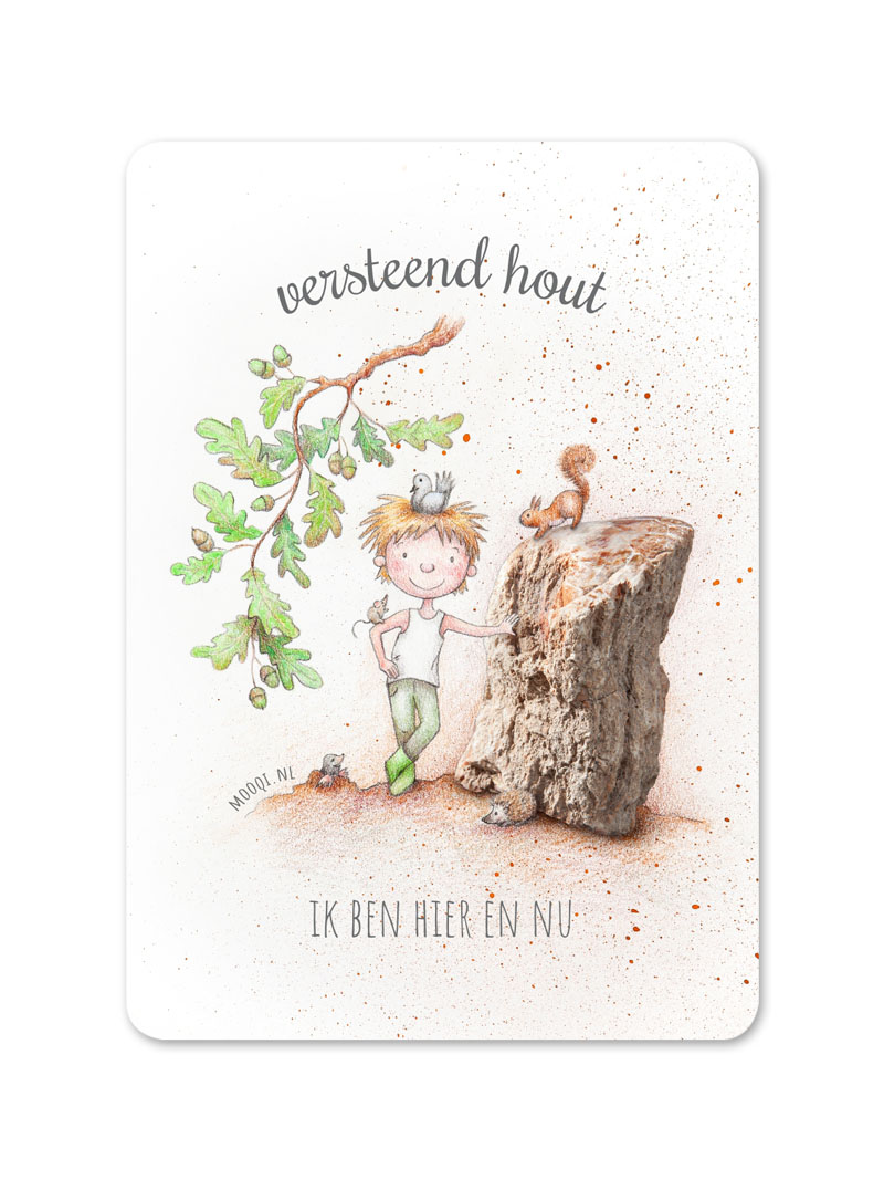 edelsteen minikaart versteend hout