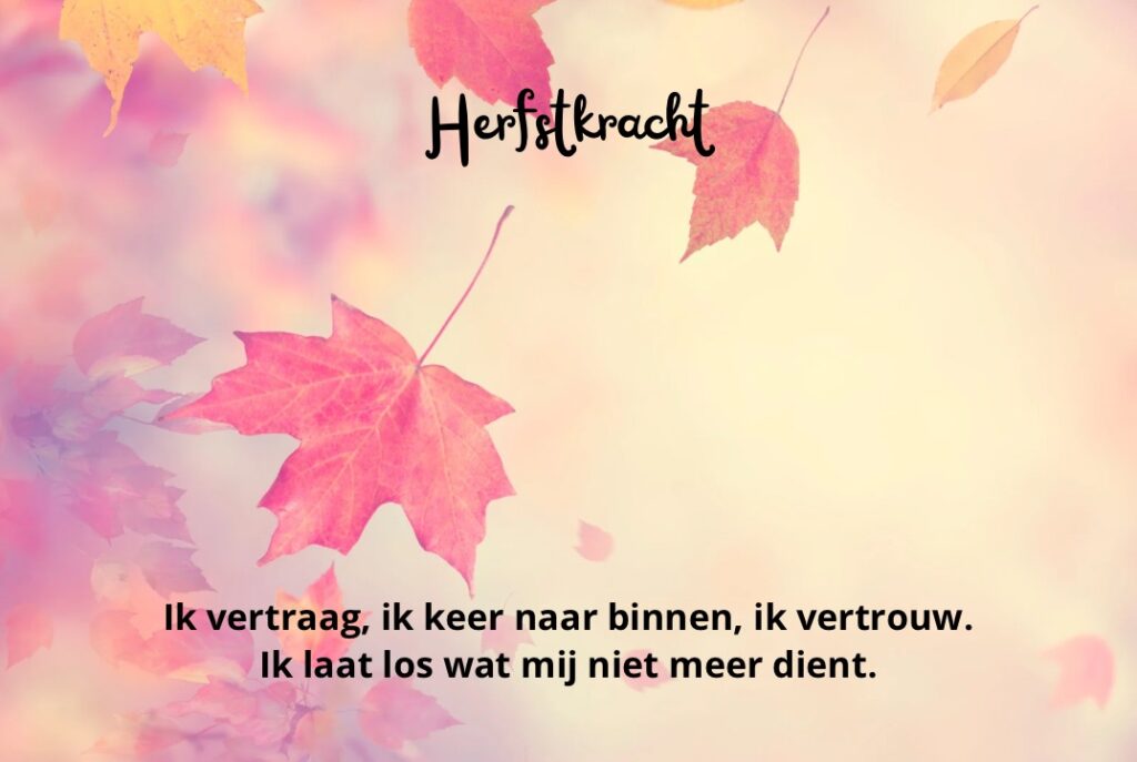 Herfstkracht