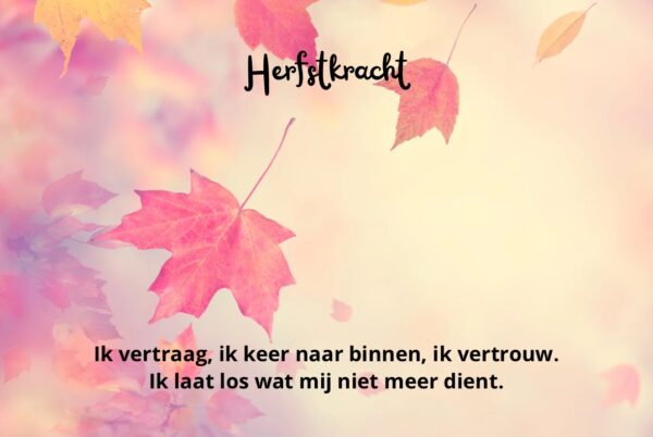 Herfstkracht
