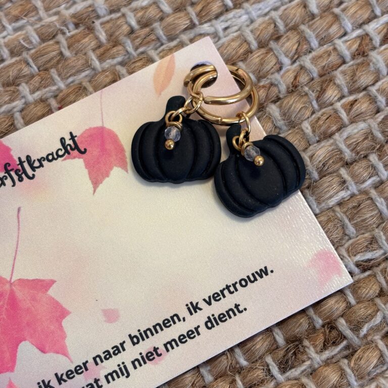 Pompoen oorbellen labradoriet