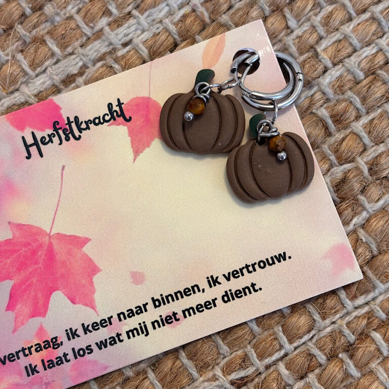 Pompoen oorbellen Tijgeroog